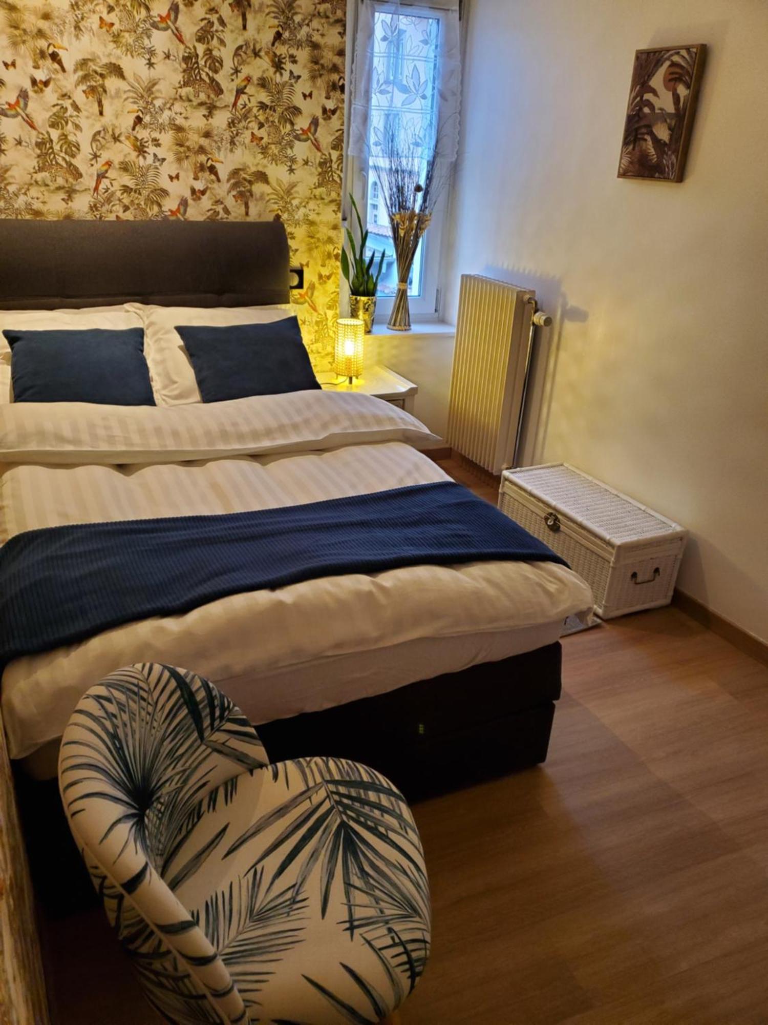 Mirka & Franck Apartment Chic 4 Stars Parking Free กอลมาร์ ภายนอก รูปภาพ