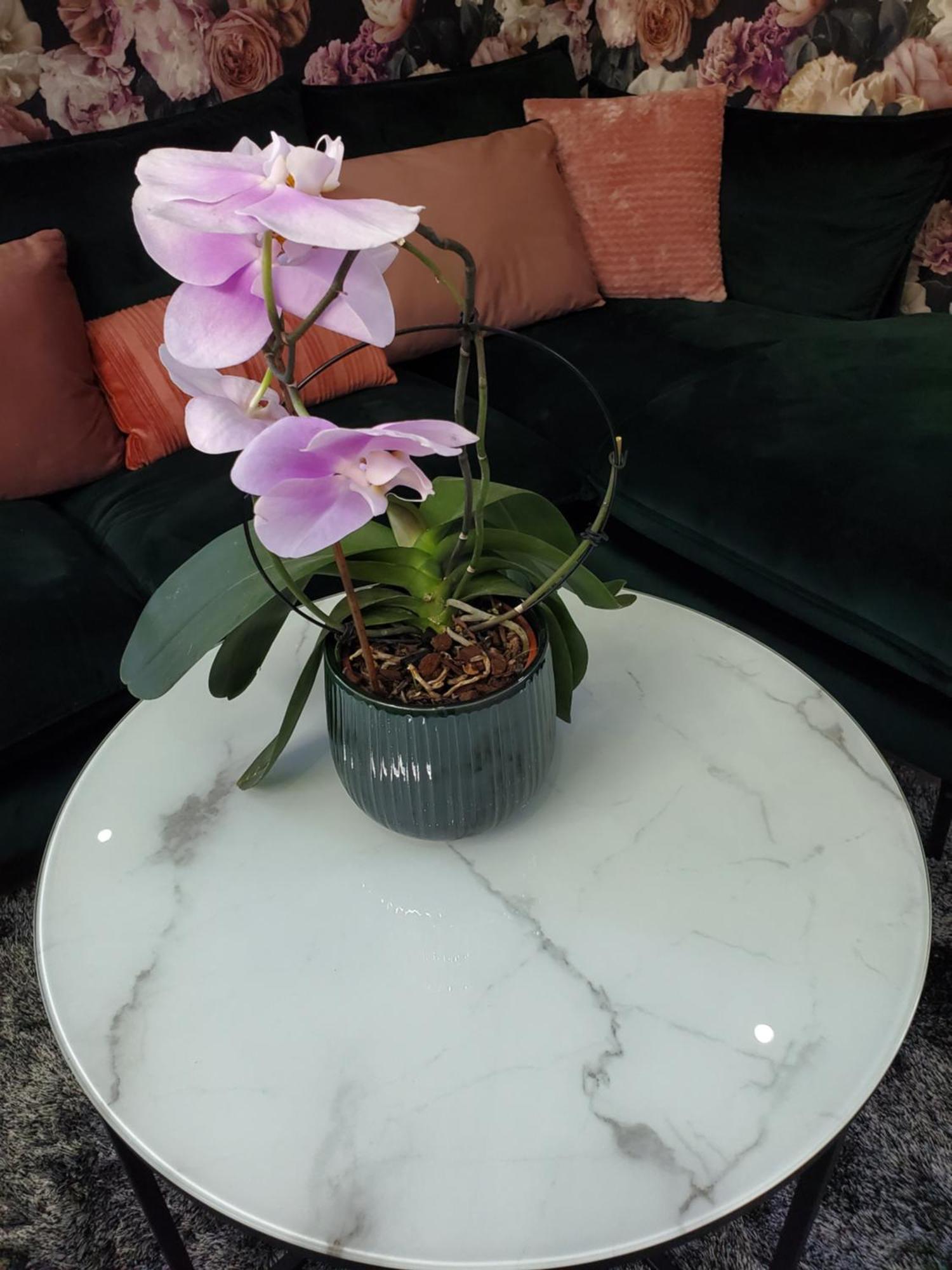 Mirka & Franck Apartment Chic 4 Stars Parking Free กอลมาร์ ภายนอก รูปภาพ